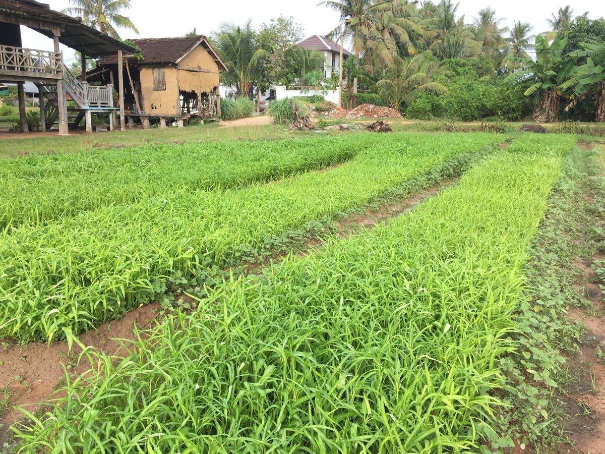 Green Life Cottage Siem Reap Eksteriør billede